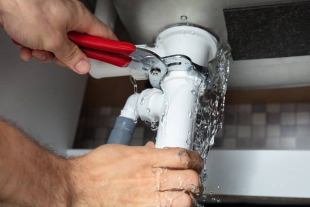Best Water damage cleanup near me  in Parker, FL