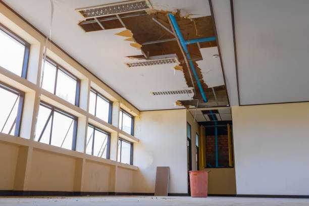 Best 24/7 water damage repair  in Parker, FL
