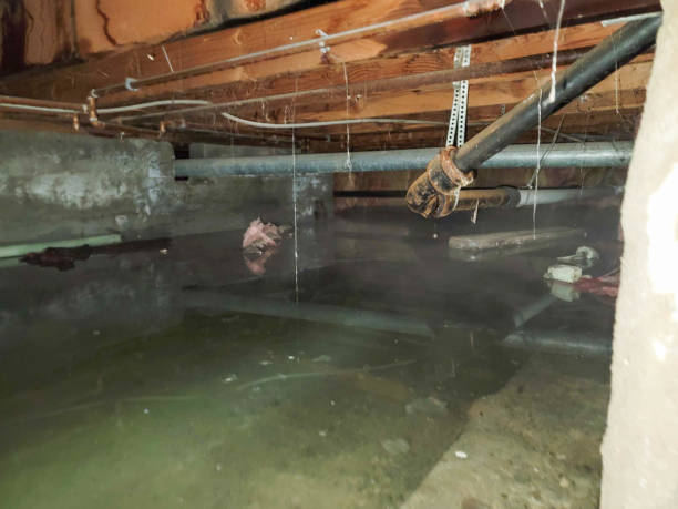 Best Water damage restoration near me  in Parker, FL