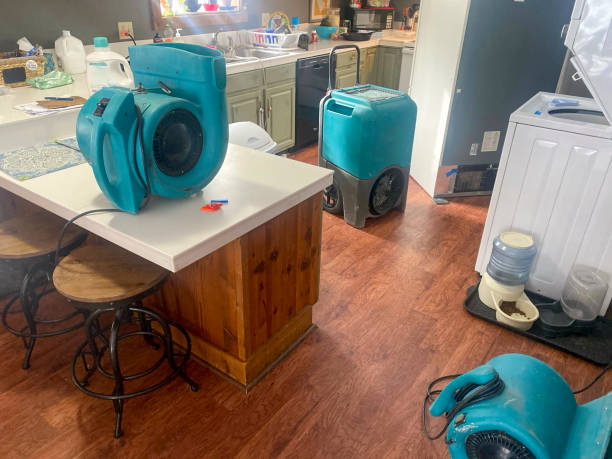 Best Flooded house restoration  in Parker, FL