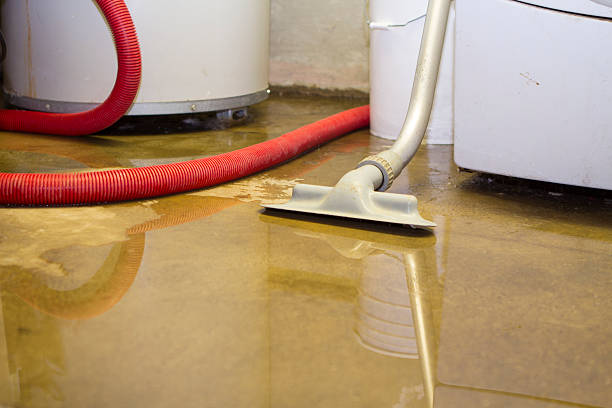Best Water damage restoration process  in Parker, FL