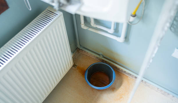 Best Ceiling water damage repair  in Parker, FL