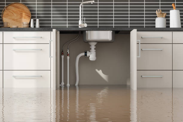Best Water damage restoration specialists  in Parker, FL