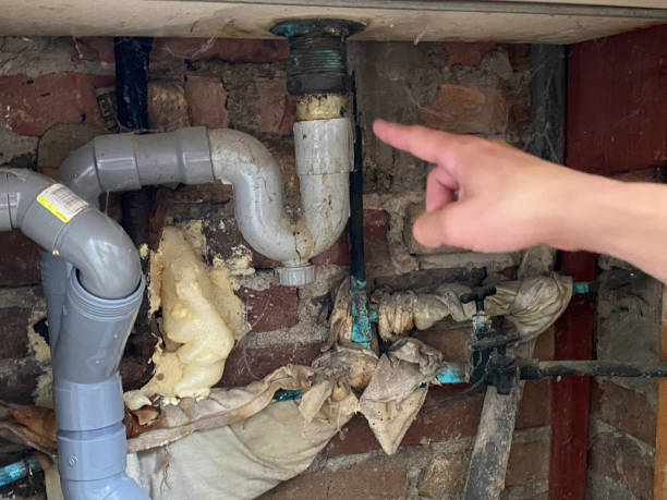 Best Carpet water damage restoration  in Parker, FL