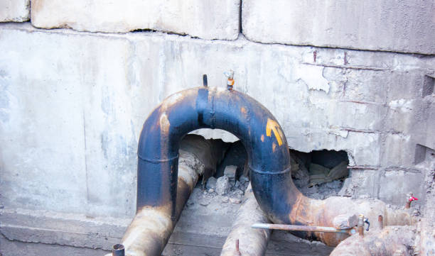 Best Water damage contractors near me  in Parker, FL