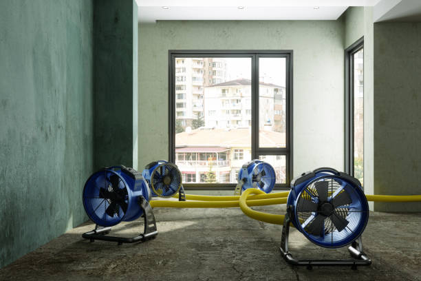 Water damage restoration experts in FL